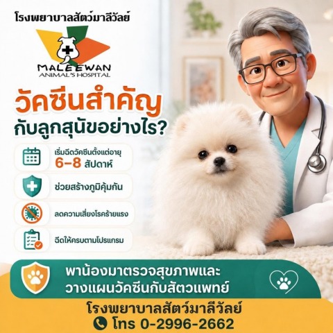 โรงพยาบาลสัตว์มาลีวัลย์ (19)